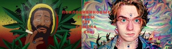 МДПВ Алзамай