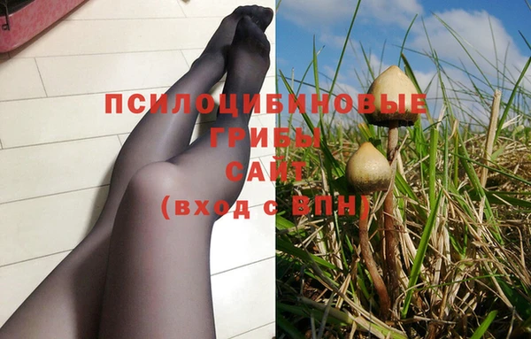 МДМА Алексеевка