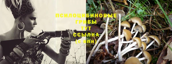 спиды Абаза