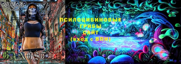 спиды Абаза