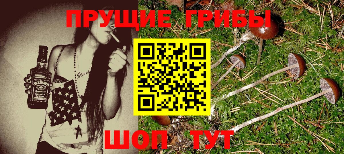 Псилоцибиновые грибы Psilocybine cubensis  Вход с VPN  Соликамск 